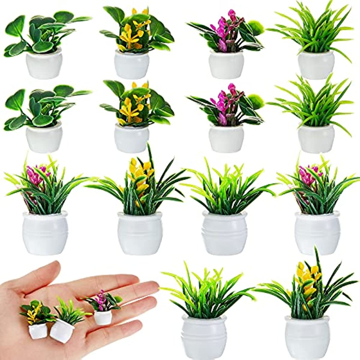 Dollhouse Plant, Miniature Bon - Bonsai Garden Kit reseña y precio