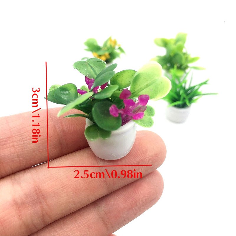 Dollhouse Plant, Miniature Bon - Bonsai Garden Kit reseña y precio