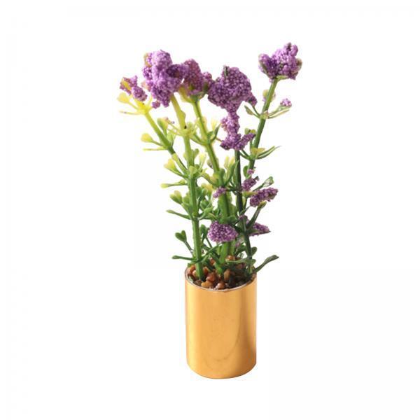 Miniature Potted Plant Ornamen - Bonsai Garden Display reseña y precio