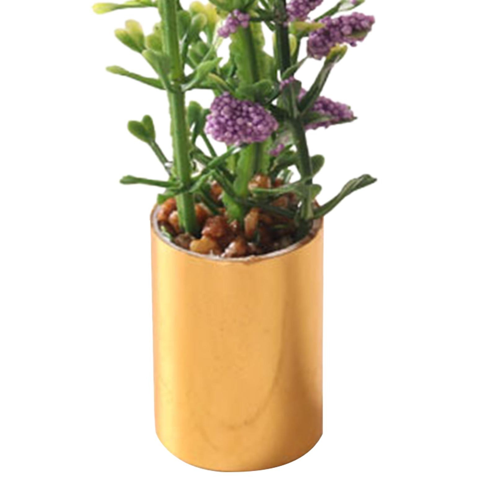 Miniature Potted Plant Ornamen - Bonsai Garden Display reseña y precio