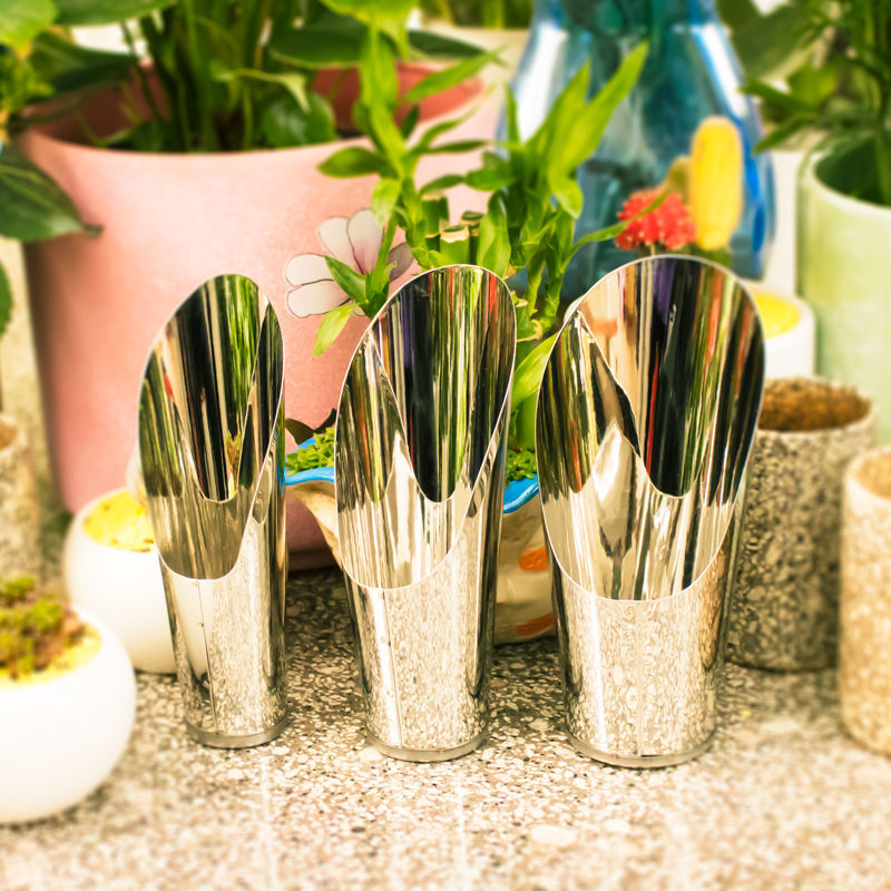 Stainless Steel Bucket Shovel  - Bonsai Garden Kit reseña y precio