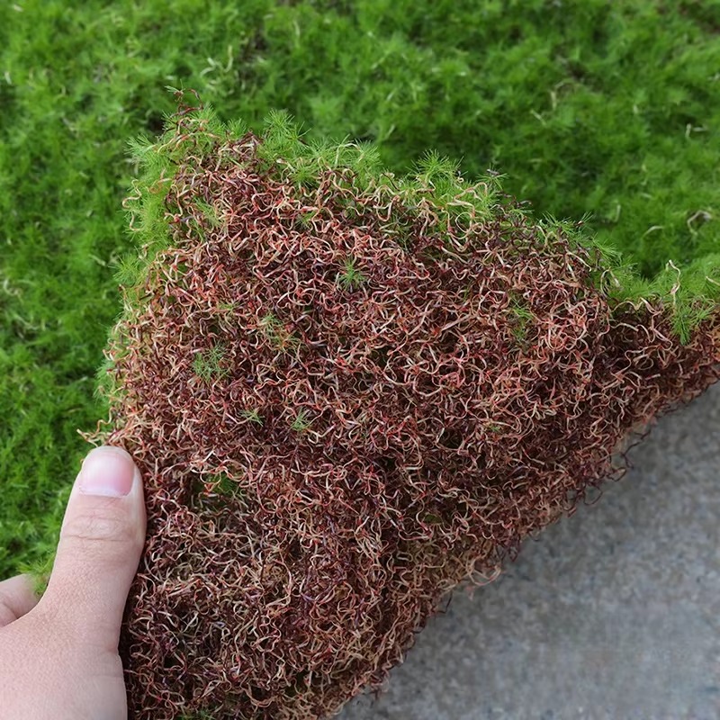 Artificial Grass Mat Green Sim - Bonsai Garden Shop reseña y precio