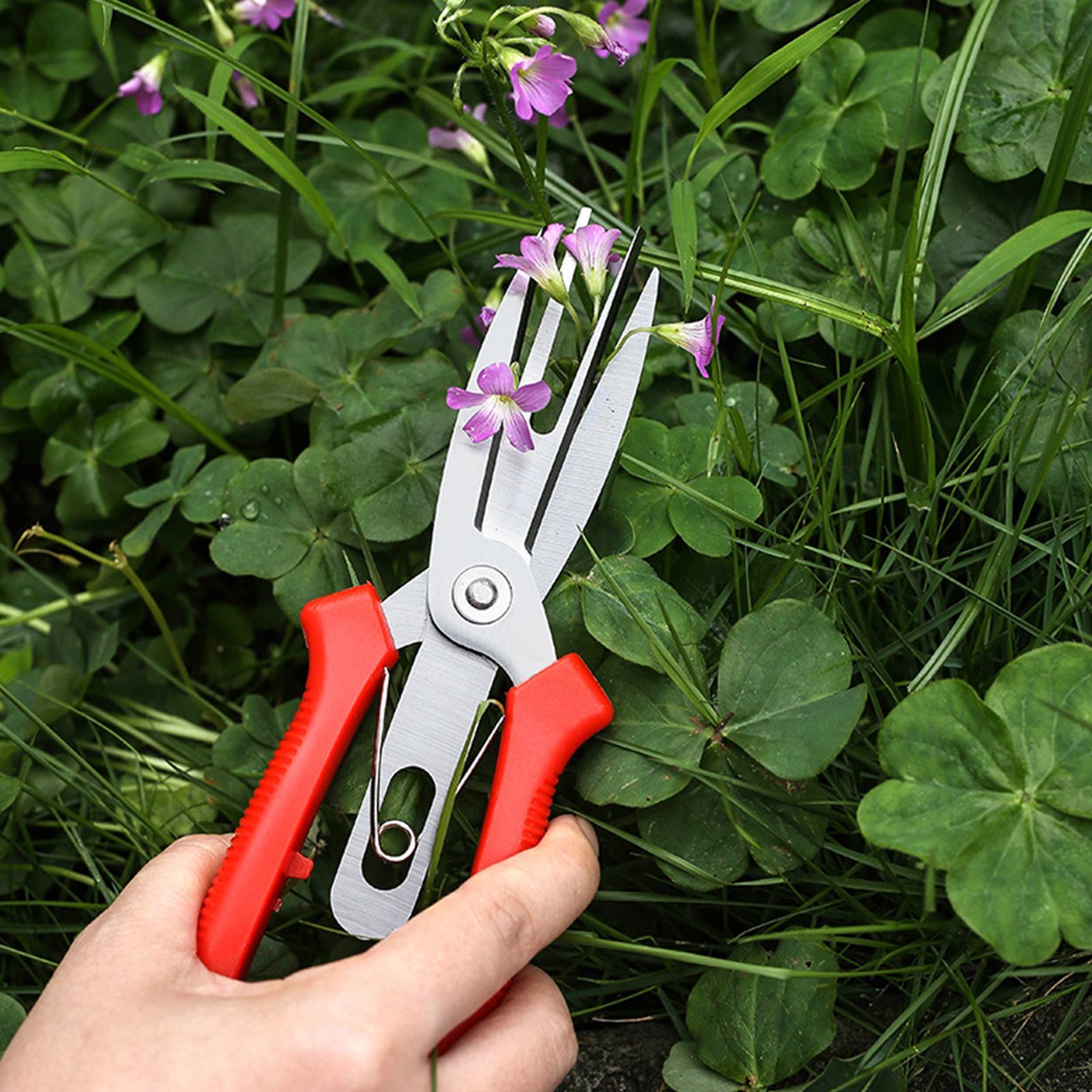 Garden Shears Stainless Steel  - Us Bonsai Garden reseña y precio