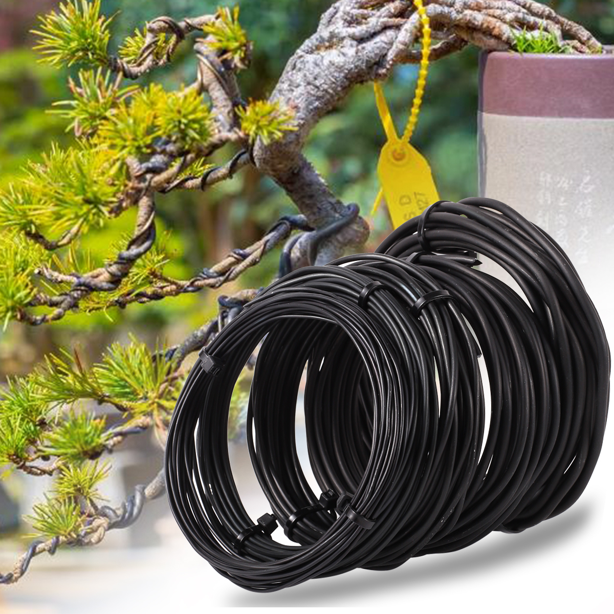 5/10m Bonsai Wire Plant Stand  - Bonsai Garden Display reseña y precio