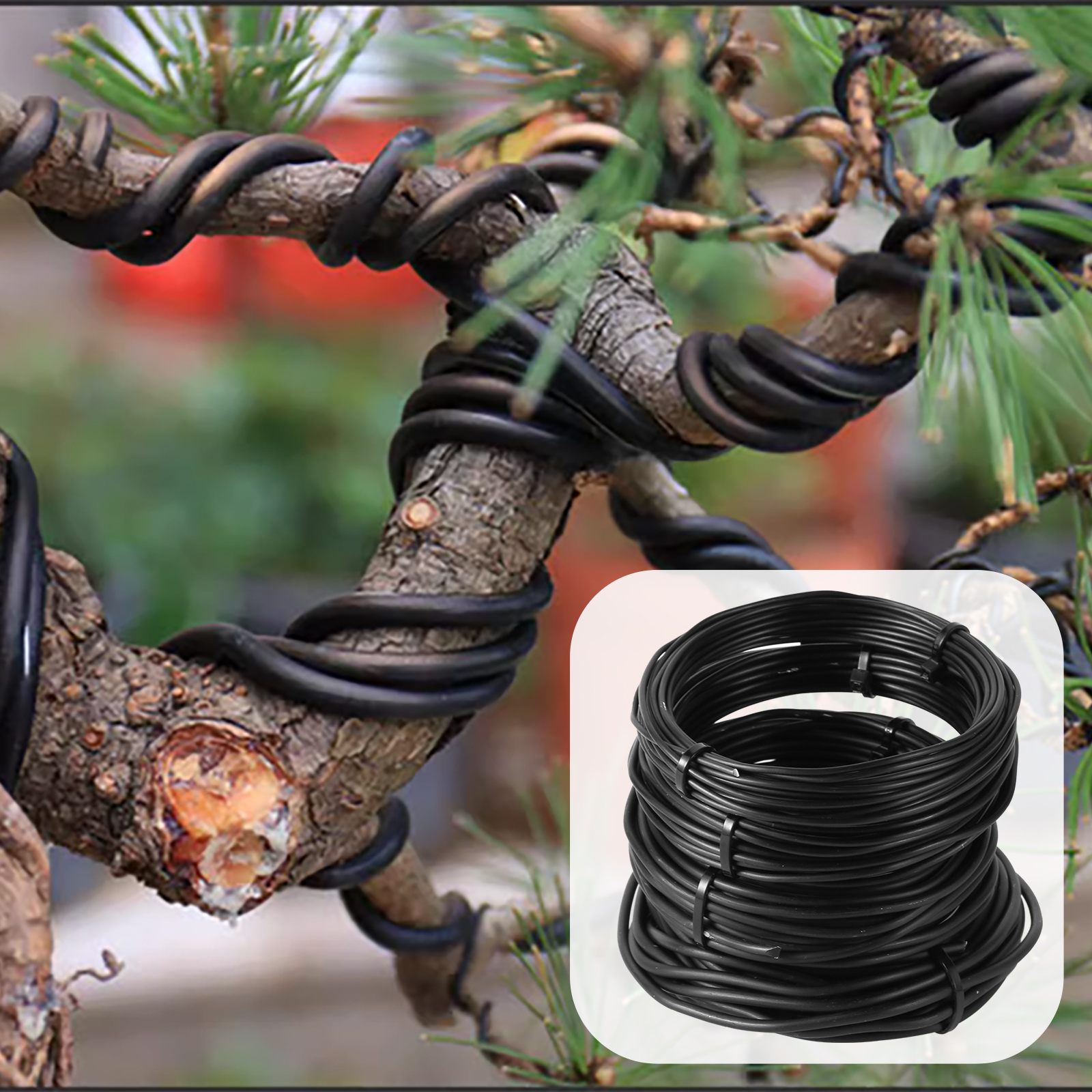 5/10m Bonsai Wire Plant Stand  - Bonsai Garden Display reseña y precio