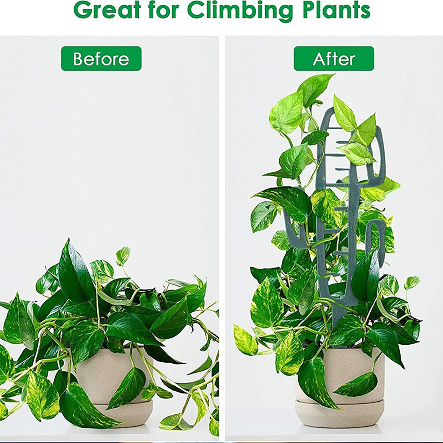 Plant Climbing Support Stand F - Bonsai Garden Kit reseña y precio