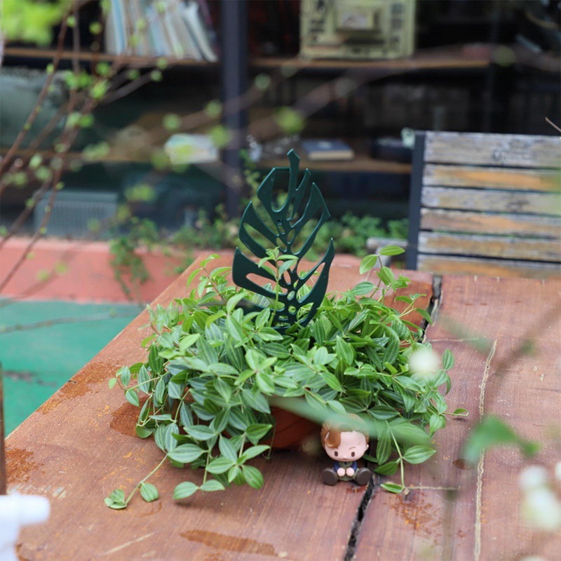 Plant Climbing Support Stand F - Bonsai Garden Kit reseña y precio