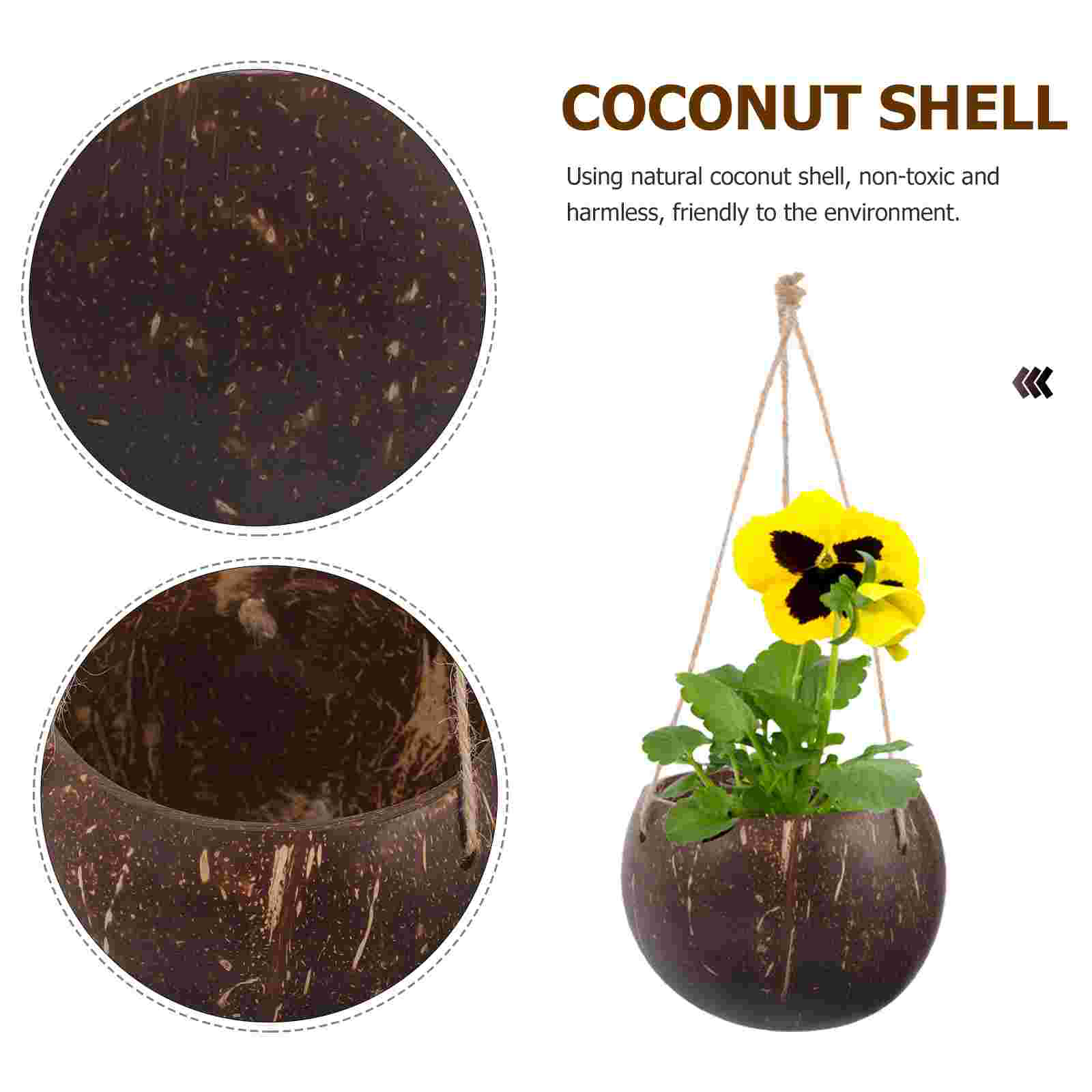 Large Hanging Planter Coconut  - Bonsai Tree Zen Garden reseña y precio