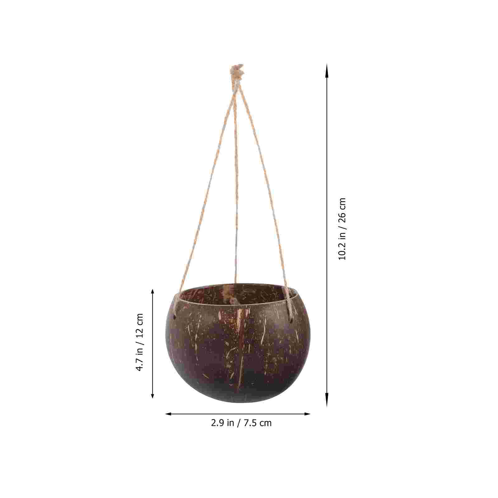 Large Hanging Planter Coconut  - Bonsai Tree Zen Garden reseña y precio