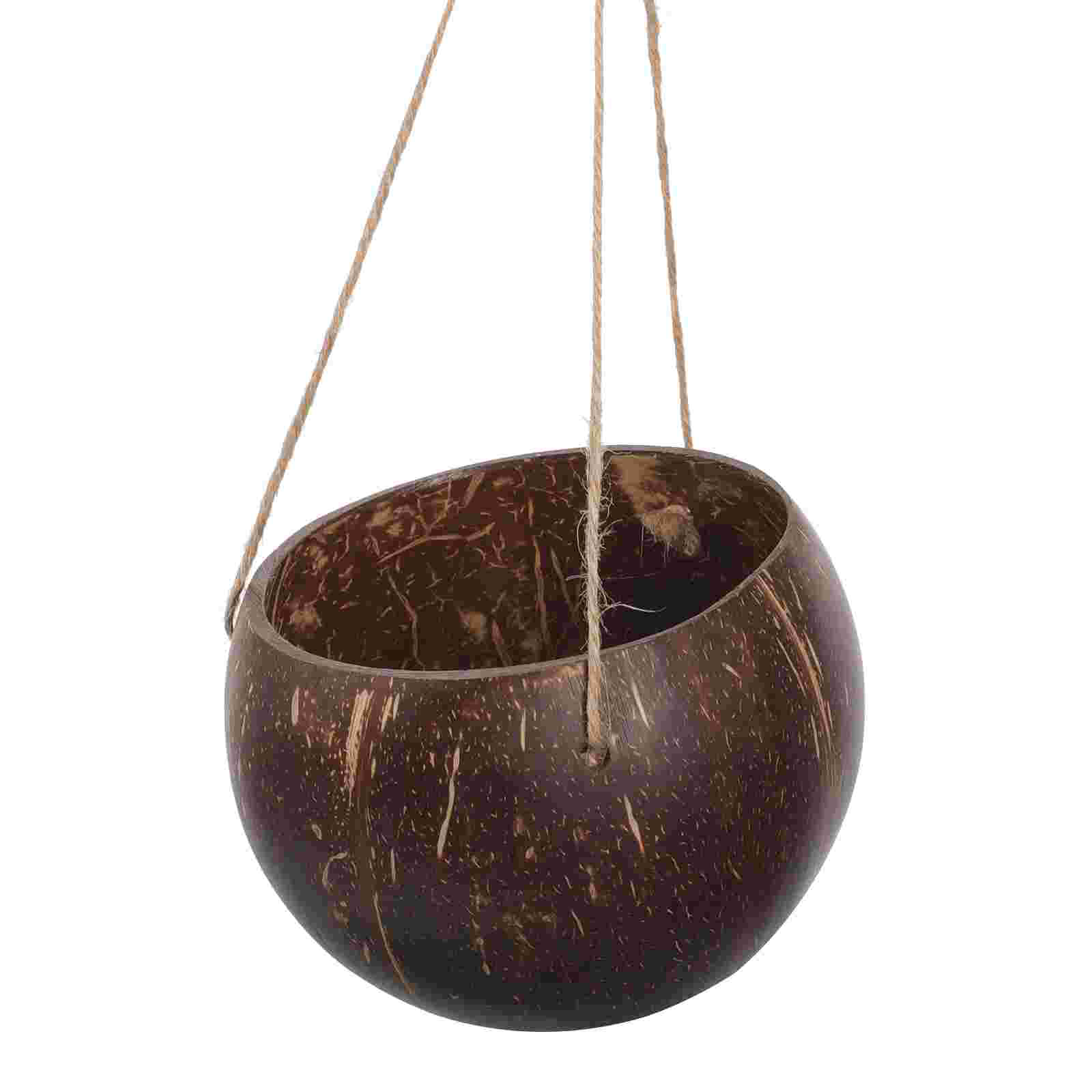 Large Hanging Planter Coconut  - Bonsai Tree Zen Garden reseña y precio