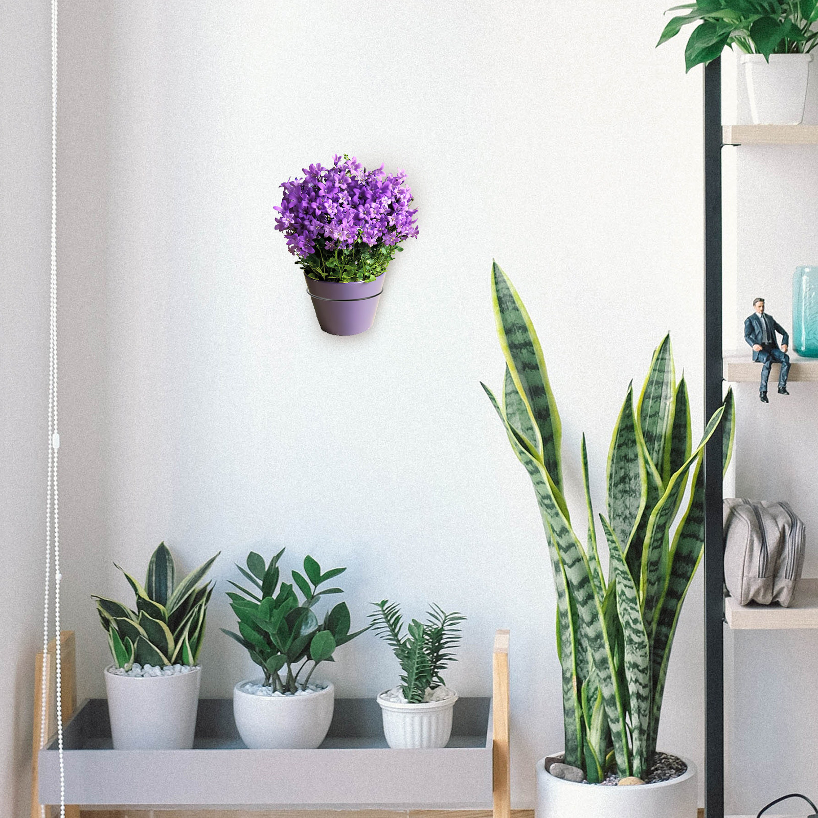 Iron Wall-Mounted Flowerpot Ra - Us Bonsai Garden reseña y precio
