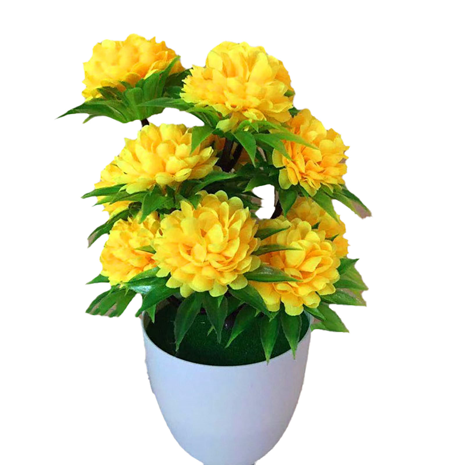 Beautiful Decoration Stylish A - Bonsai Garden Display reseña y precio