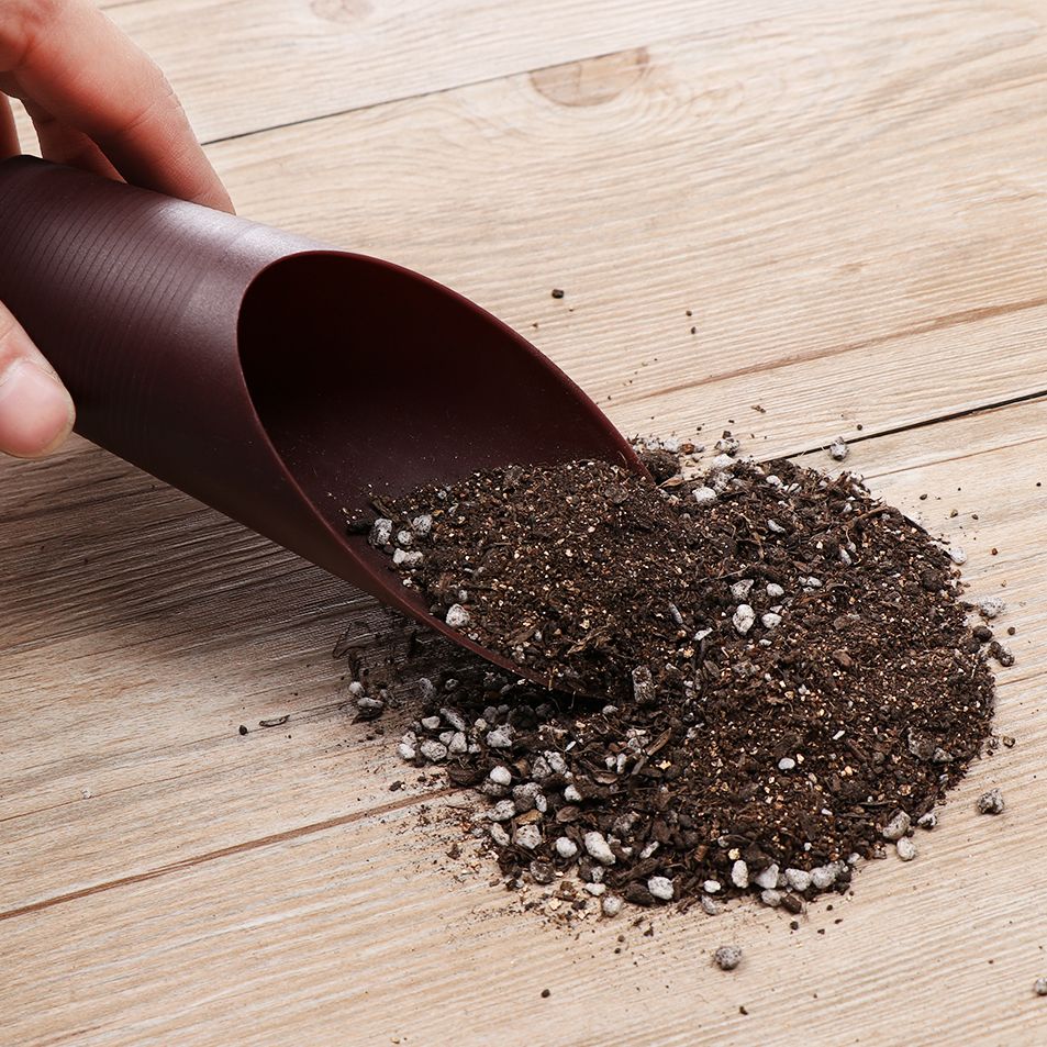 1PC Plastic Soil Shovel Cup Fo - Bonsai Garden Kit reseña y precio
