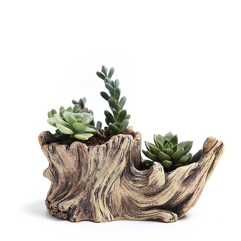 Succulent Flower Pot Wood Tree - Bonsai Tree Zen Garden reseña y precio