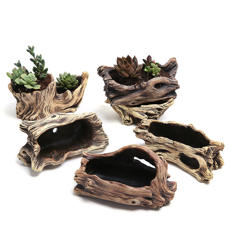 Succulent Flower Pot Wood Tree - Bonsai Tree Zen Garden reseña y precio