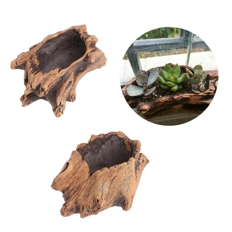 Succulent Flower Pot Wood Tree - Bonsai Tree Zen Garden reseña y precio